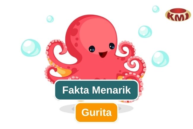 Ketahui 11 Fakta Menarik Mengenai Gurita